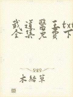 武道医王txt全集免费下载