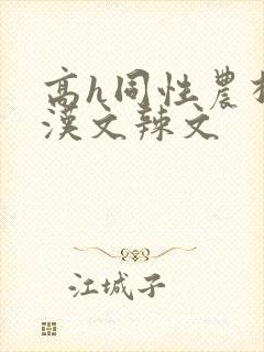 高h同性农村壮汉文辣文