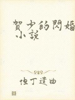 贺少的闪婚暖妻 小说