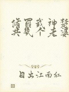 修罗武神楚枫一共几个老婆