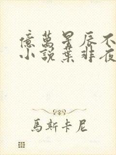 亿万星辰不及你小说叶非夜