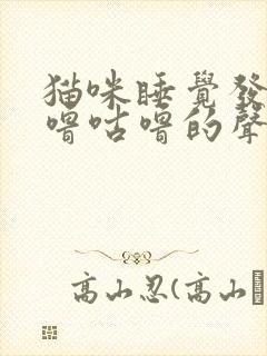 猫咪睡觉发出咕噜咕噜的声音