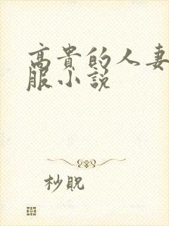 高贵的人妻被征服小说