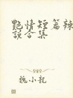 艳情短篇辣文小说合集