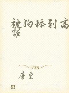 被狗舔到高潮小说