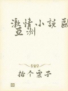 激情小说 欧美 亚洲封面