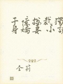 千亿总裁独宠替身娇妻 小说完整板