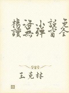 杨洛小说免费阅读无弹窗全文