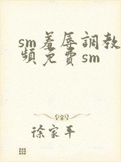 sm羞辱调教视频免费sm封面