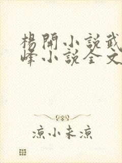 杨开小说武炼巅峰小说全文免费阅读