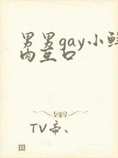 男男gay小鲜肉互口封面