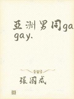 亚洲男同gay gay.