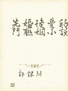 先婚后爱的双豪门联姻小说