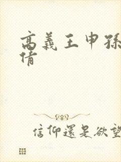 高义王申孙敏孙倩