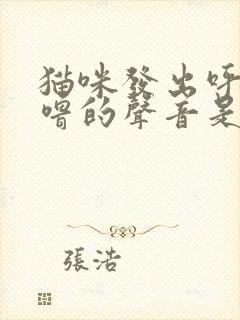 猫咪发出呼噜呼噜的声音是怎么回事