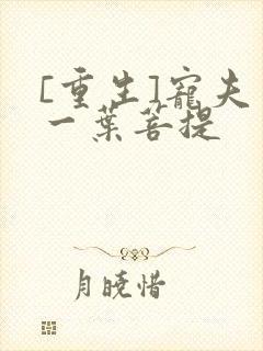 [重生]宠夫 一叶菩提