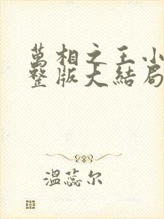 万相之王小说完整版大结局封面