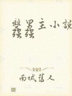 双男主小说推荐强强