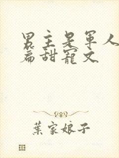 男主是军人的短篇甜宠文