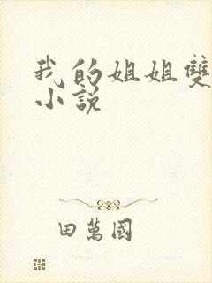 我的姐姐双女主小说