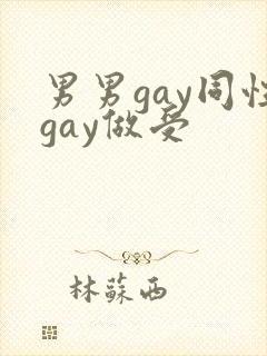 男男gay同性gay做受