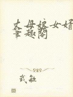 丈母娘女婿小说笔趣阁