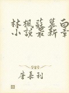 林枫苏慕白穿越小说最新章节更新