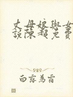 丈母娘与女婿小说陈超免费阅读