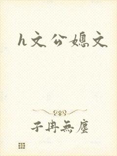 h文公媳文封面