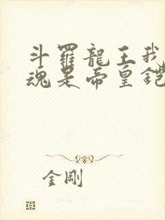 斗罗龙王我的武魂是帝皇铠甲