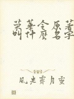 荣华令原著小说叫什么名字啊