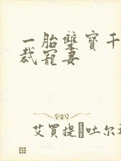 一胎双宝千亿总裁宠妻