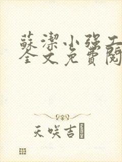 苏洁小强工地情全文免费阅读