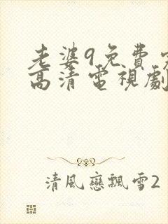 老婆9免费完整高清电视剧在线