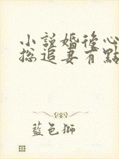 小说婚后心动凌总追妻有点甜全集下载