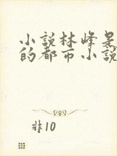 小说林峰是主角的都市小说