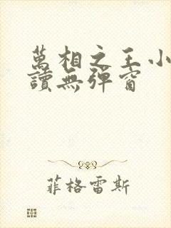 万相之王小说阅读无弹窗