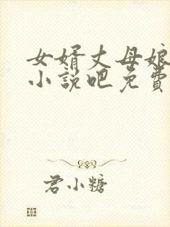 女婿丈母娘言情小说吧免费阅读全文