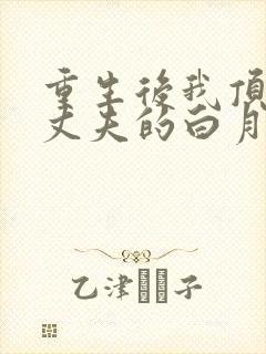 重生后我顶替了丈夫的白月光小说