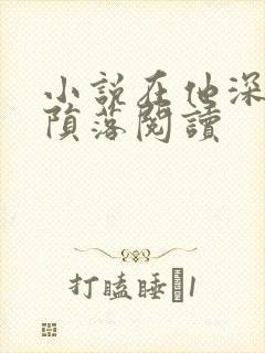 小说在他深情中陨落阅读