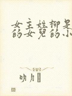 女主姓柳是丞相的女儿的小说
