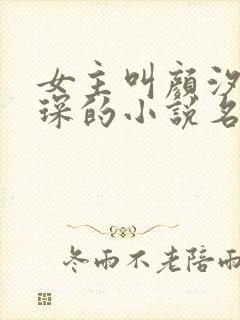 女主叫颜汐陆霆琛的小说名字