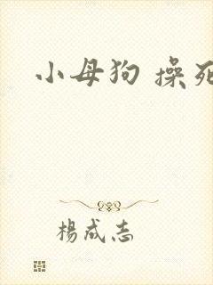小母狗 操死你
