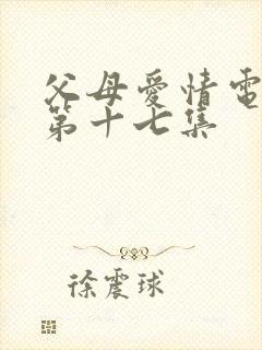 父母爱情电视剧第十七集