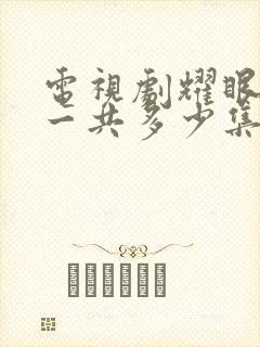 电视剧耀眼的你一共多少集