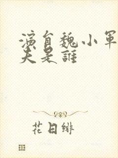 演员魏小军的丈夫是谁