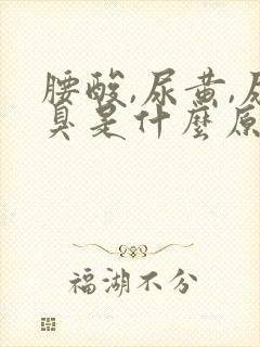 腰酸,尿黄,尿臭是什么原因封面