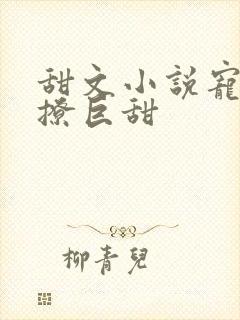 甜文小说宠文巨撩巨甜