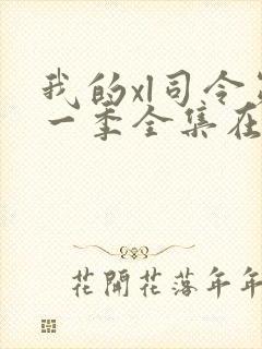 我的xl司令第一季全集在线观看完整版免费