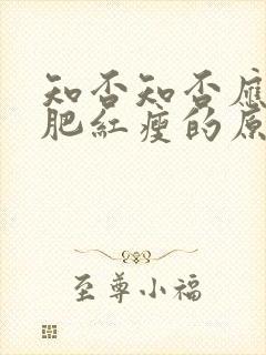 知否知否应是绿肥红瘦的原著叫什么